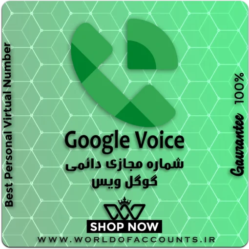 GoogleVoice-2