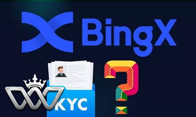 آموزش جامع حساب دمو BingX بینگ ایکس