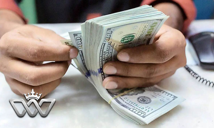 آینده درآمد دلاری برای ایرانی‌ها: روندهای بازار و مهارت‌های ضروری در سال‌های آینده